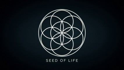 explainer 01 seed of life