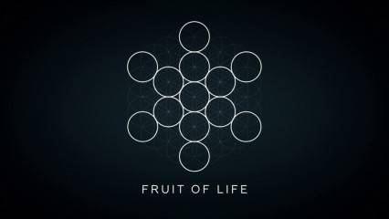 explainer 03 fruit of life