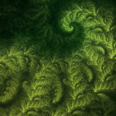 foliate spiral 01b